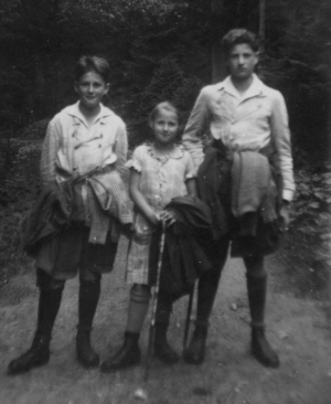 vergrößern